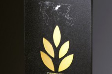 Международный институт бизнеса награжден за высокое качество образовательных услуг