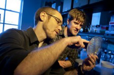 Отечественная промышленность испытывает дефицит кадров