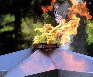 Молодежь привлекут к празднованию победы в Великой Отечественной войне