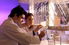 Стипендиальные исследовательские программы в ОАЭ