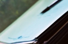 Высшие учебные заведения должны внести изменения в свои уставы