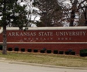 Высшее образование в Государственном университете Арканзаса (США)