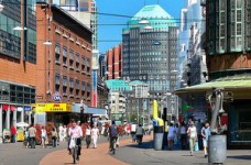 Учебный тур в Нидерланды