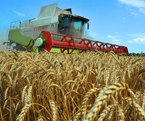 Аграрное хозяйство нуждается в специалисте нового поколения