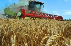 Аграрное хозяйство нуждается в специалисте нового поколения