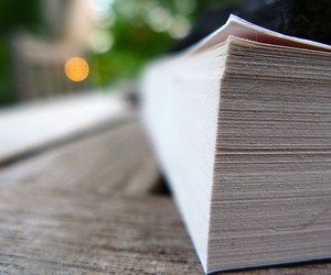 УЦОКО опроверг претензии участников внешнего тестирования по биологии