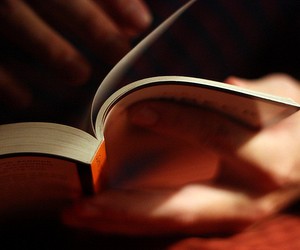 Ответ на обращение участников тестирования по биологии пришел, но вопросы остались