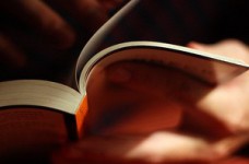 Ответ на обращение участников тестирования по биологии пришел, но вопросы остались