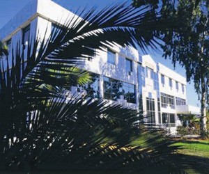 Новые инициативы МИБ в рамках программы International MBA