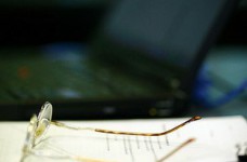 МБШ "Nikland" стала аккредитованным партнером Программы Риск Сертификации