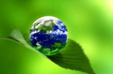 Международный учебный проект "Европейские школы за живую планету"