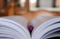 Минобразования утвердило перечень учебных программ для начальной школы