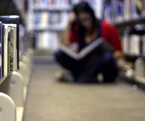 Минобразования продолжает курс на ограничение равного доступа к высшему образованию, - эксперты