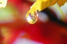 ECO FEST: Экологический проект для школьников и студентов