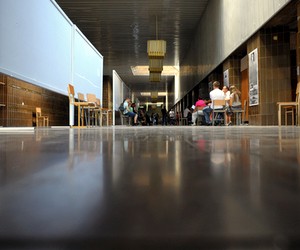 Почему одним лишь законом о высшем образовании не решить проблему реформирования научной сферы?