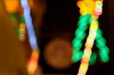 Двухнедельный рождественский курс английского языка в Беджбери, Англия