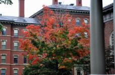 Молодые украинцы стажируются в Гарварде, чтобы стать госслужащими