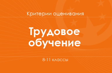 Трудовое обучение: критерии оценивания. 8–11 классы