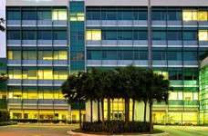 Стоят ли международные программы MBA времени, денег и усилий?