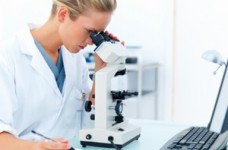 Стоит ли получать степень PhD?