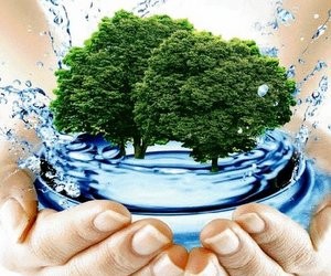 Немецкая программа для молодых ученых в сфере природопользования