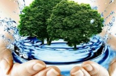 Немецкая программа для молодых ученых в сфере природопользования