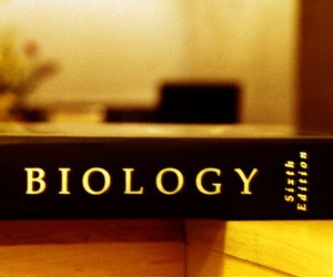 7 июня состоится ЗНО по биологии