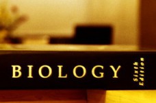7 июня состоится ЗНО по биологии