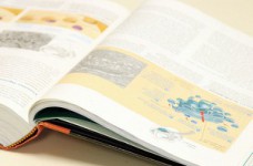 Центр оценивания снова допустил ошибки, теперь в тесте по биологии