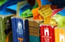 Определены результаты участников ЗНО по иностранным языкам