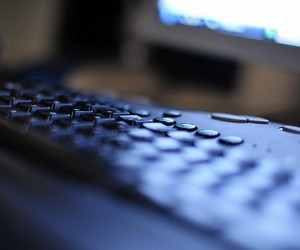 Результаты ЗНО по украинскому языку и литературе и биологии будут объявлены 19 июня