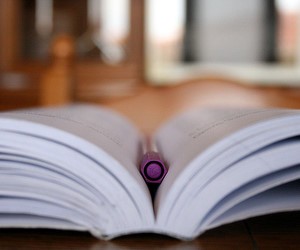 Определены результаты участников ЗНО по биологии