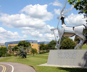 Подготовительные программы University of Surrey
