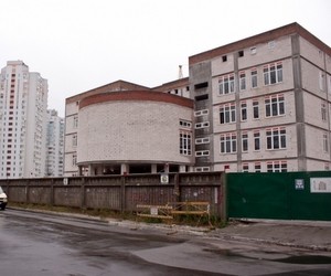 Около 2 тысяч родителей против создания в Киеве русскоязычной гимназии