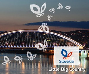 Национальная стипендиальная программа Словацкой Республики для иностранцев 