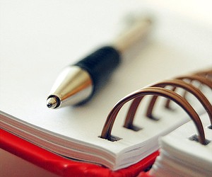 В Минобразования признали, что не разрабатывали новые программы ЗНО