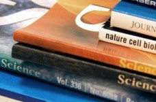 Диссертационная паника: что после нее?