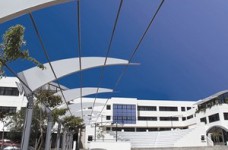 Online-МВА в Университете Никосии