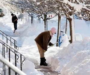 Ректоров просят очистить территории учебных заведений от снега