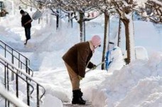 Ректоров просят очистить территории учебных заведений от снега