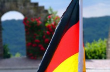 Международный проект украинских DSD-школ