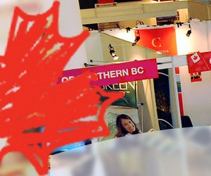 Консультации с представителями государственных вузов Канады