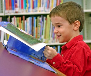 В Минобразования утверждают, что непричастны к цензуре школьных библиотек