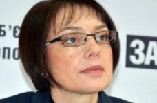 Общество может эффективно давить на власть, - Гриневич