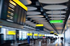 США усилят контроль над студенческими визами