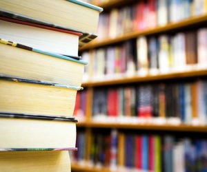 Вузы заморозили цены на образование