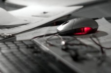 У страны нет средств на Единую электронную базу по вопросам образования