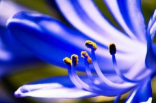 Завершено проведение ЗНО по биологии