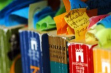 Определены результаты участников ВНО по иностранным языкам