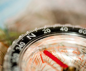 Определены результаты участников ЗНО по географии